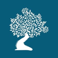 SMU International Programs logo - Similar company to Fondation Smu