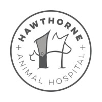 Hawthorne animal hospital