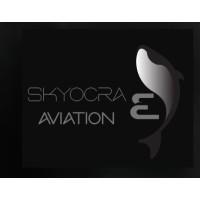 SKYOCRA AVIATION logo - Similar company to Techsics Ai