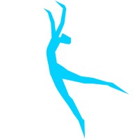 Anomotion Interactive (Acquired by Rockstar Games) logo - Similar company to Rockstar Games