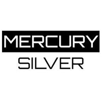 MERCURY SILVER logo - Similar company to Dynamisch Coach Academie: Groei & Ontwikkeling Met De Vier Elementen-Dynamiek 'Vivande'