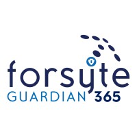 Forsyte I.T. Solutions logo - Similar company to Fotis Networks Llc