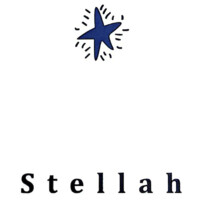 Stellon Park Inc. logo - Similar company to Hitechmoda