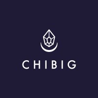Chibig logo - Similar company to Codigames