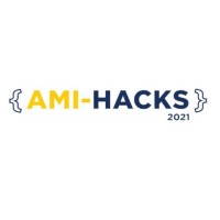 AmiHacks logo - Similar company to Hello World Hacks