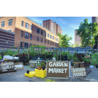 UrbanFarmingNYC logo - Similar company to Garbage Goddess
