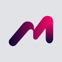 Mint Solutions logo - Similar company to Systems Services Group