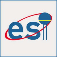 ESI Electro Service India logo - Similar company to Pr Teknix