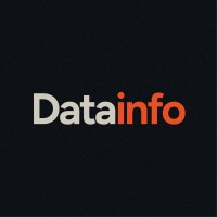 Datainfo logo - Similar company to Dls Technologies Limited