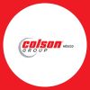 ColsonMéxico logo - Similar company to Parker & Bailey