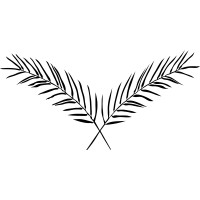 Palma logo - Similar company to 氪空间（Kr Space）