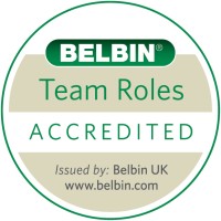 Belbin Eesti logo - Similar company to Extended Disc® Powered By Finxs®