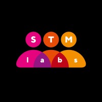 STM Labs logo - Similar company to Premium It Solution