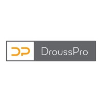DroussPro logo - Similar company to Sas Sd Tech