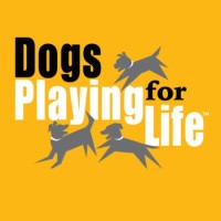 Dogs Playing for Life™ logo - Similar company to Unconditional, Senior & Special Dogs