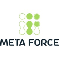 Meta Force IT logo - Similar company to Forceits