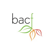 Brandon Area Community Foundation logo - Similar company to Economic Development Board Secretariat