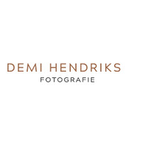 Demi Hendriks Fotografie logo - Similar company to De Haere - Praktijk Voor Fysiotherapie, Ergotherapie En Leefstijl