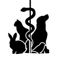 Recruiting veterinarians Denmark - Dyrlaegehuset Global logo - Similar company to Caucasian Journal