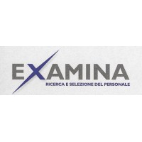 EXAMINA Ricerca e Selezione di Personale logo - Similar company to Placement Srl Agenzia Di Ricerca E Selezione Personale