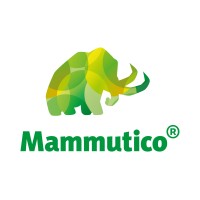 Mammuti Co. Sp. z o.o. logo - Similar company to Academic Fish