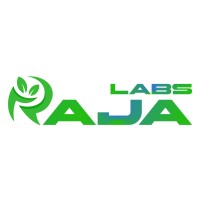Raja Labs logo - Similar company to Reflection Software
