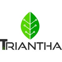 Triantha