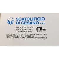 SCATOLIFICIO DI CESANO SRL logo - Similar company to Scatolificio Niccoli
