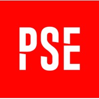 PSE Data Security logo - Similar company to Op Orde