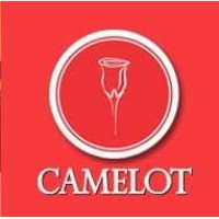 Camelot Convention Centre & Hotel