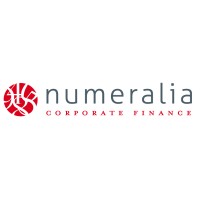Numeralia Corporate Finance logo - Similar company to Tail Ventures