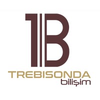 Trebisonda Bilişim logo - Similar company to Motrixtr