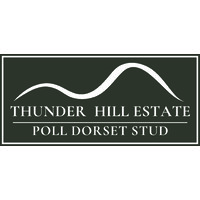 Thunder Hill Estate
