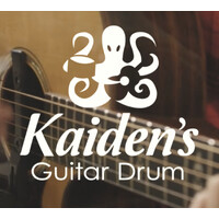 Kaiden Instruments logo - Similar company to Ikinnovations
