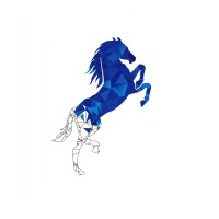 Equineum AG logo - Similar company to Bunkerpay