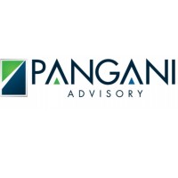 Pangani Advisory Limited (PAL) logo - Similar company to Hudson Enterprise Limited