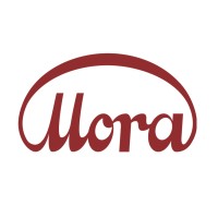 MORA Metrology GmbH logo - Similar company to Wenzel Technologies Gmbh
