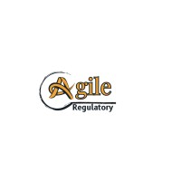 Agile Regulatory logo - Similar company to Vincular
