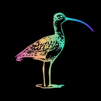 Limpkin logo - Similar company to Limpkin