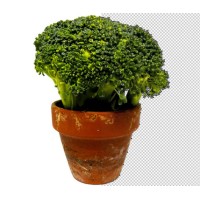 Best Clipping Masking logo - Similar company to Clipping Path