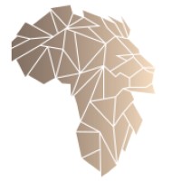 Lionhead Capital Partners logo - Similar company to Onemoola