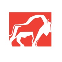 Bisoncomm Group