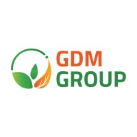 GDM Group logo - Similar company to Comète