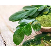 Moringa Technology Industry logo - Similar company to De'Hydra