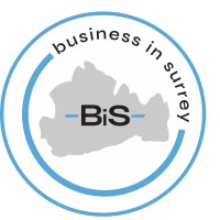 Business In Surrey logo - Similar company to Fabulous Networking