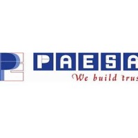 PT Paesa Pasindo Engineering logo - Similar company to Pt. Limacanka Indonesia