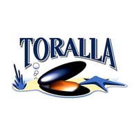 Toralla S.A. logo - Similar company to Pm Ingenieros Ejecución Y Consultoría De Obras