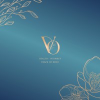 V-Ology logo - Similar company to Zipline