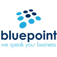 Blue Point Telecom logo - Similar company to Share Vision
