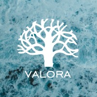 Valora Consultores logo - Similar company to Yup